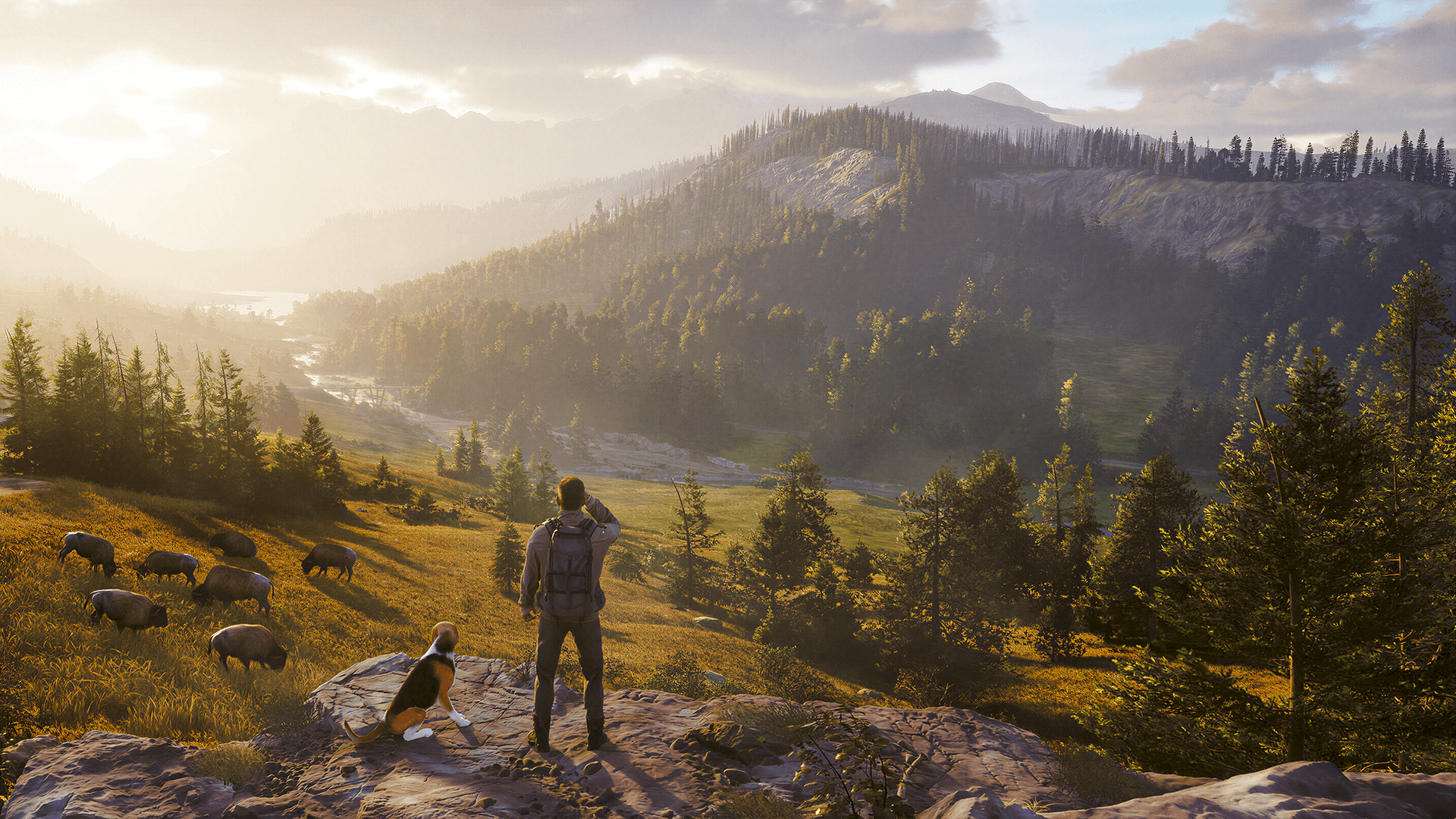 Way of the Hunter 2